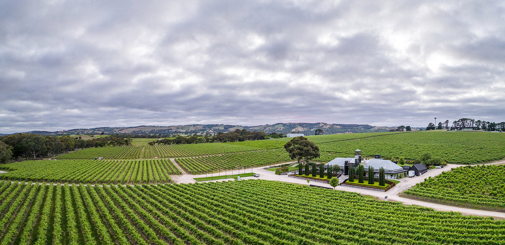 5 Reasons Why McLaren Vale is One of the Best Wine Regions